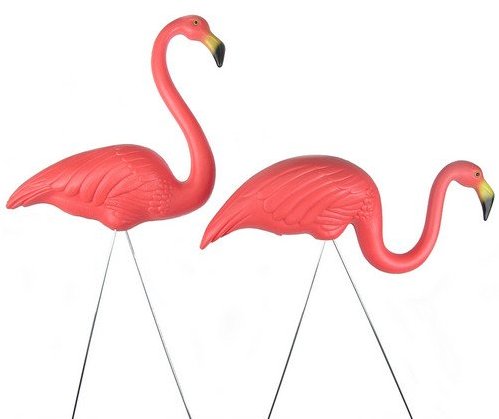 Lawn flamingo clipart
