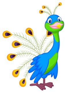 Peacock clipart and templates on clip art graphics fairy and