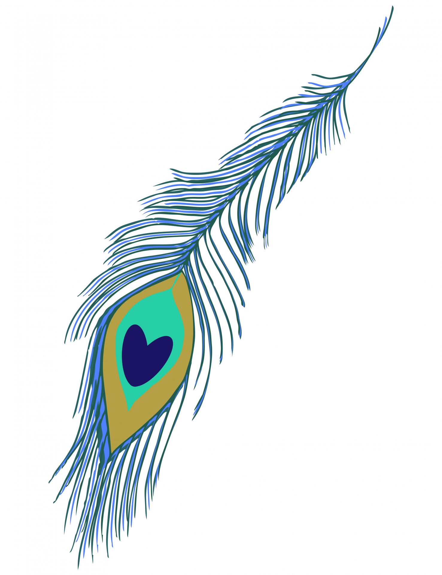 Peacock feather clipart free stock photo public domain pictures 3