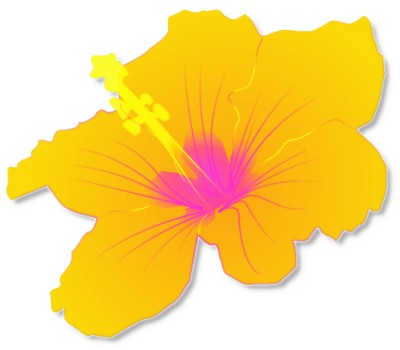 Tropical free hawaiian clip art hawaiian flower hawaiian luau 5