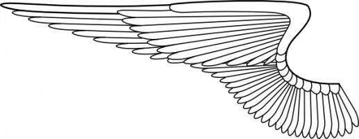 Angel wings clip art free vector in open office drawing svg svg 5