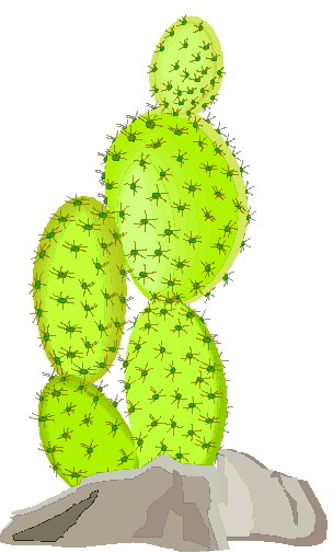 Cactus clip art 2 image