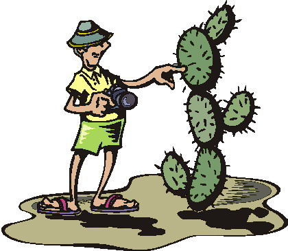 Cactus clip art 2
