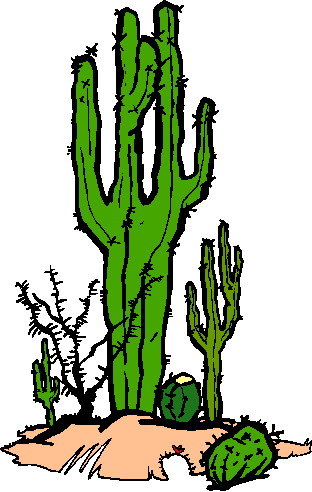 Cactus clip art 6