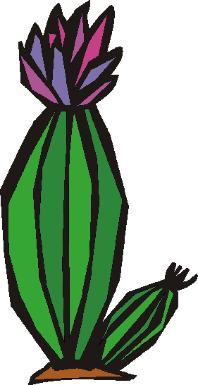 Cactus clip art 7