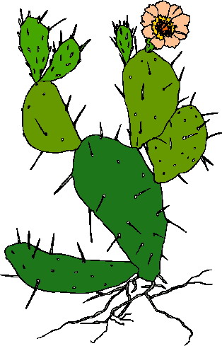 Cactus clip art of cactus wearing hats and guns image