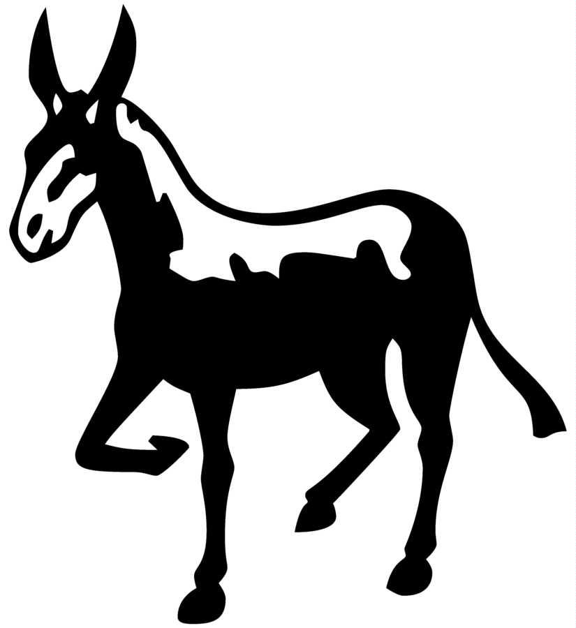 Donkey clip art clipart