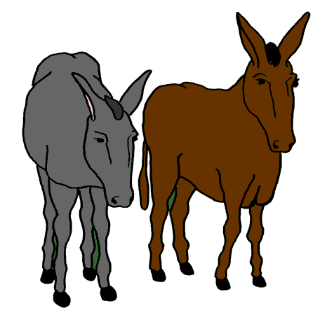 Donkey clipart free clipart image