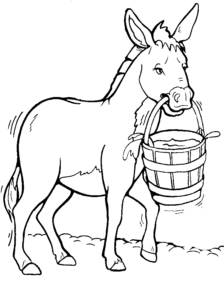 Donkey drawing clipart 2
