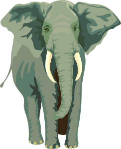 Elephant clip art free vector 4vector