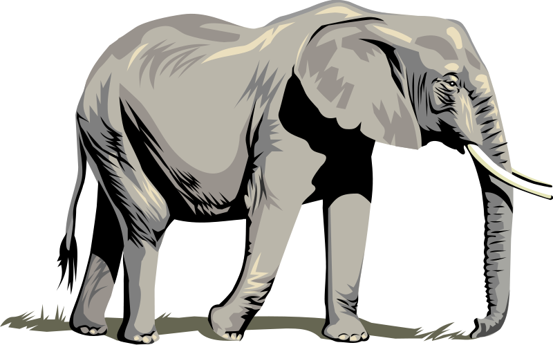 elephant side view drawing