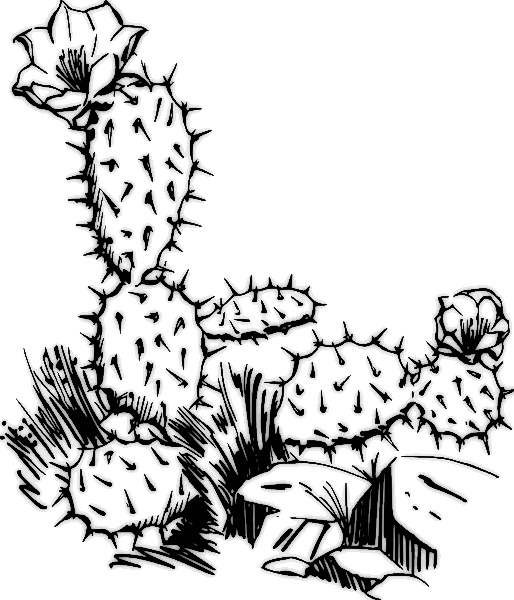 Free cactus clipart public domain plant clip art images and 2 2