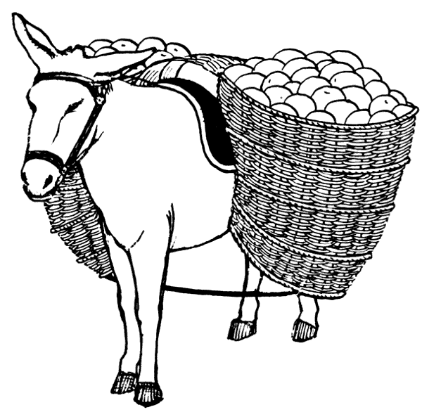 Free donkey clipart clipart picture 5 of