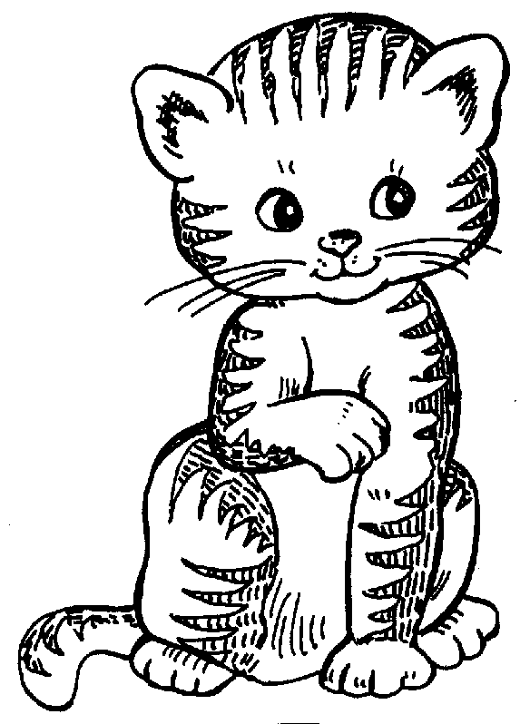 Free kitten clipart the cliparts