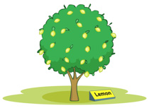 Free trees clipart clip art pictures graphics illustrations 2