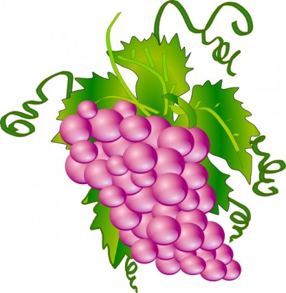 Grapes clip art free vector in open office drawing svg svg