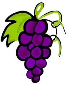 Grapes clipart clipart cliparts for you