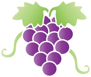 Grapes clipart image cherries