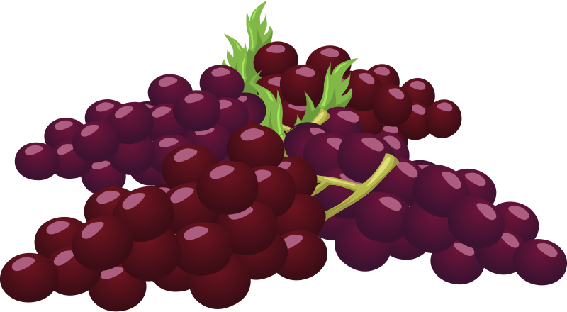Grapes free to use clipart 2