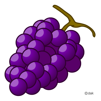 Grapes grape pictures of clipart and graphic design and illustration