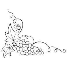 Grapes graphic on grape vines coloring pages and clip art