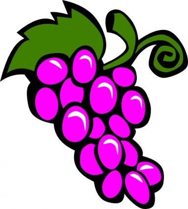 Grapes vector grape vine clipart sketch free vector in encapsulated