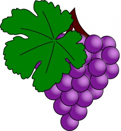 Grapes vine clipart free clipart images