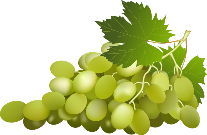 Grapes vine clipart grape with vine leaf clip art id image