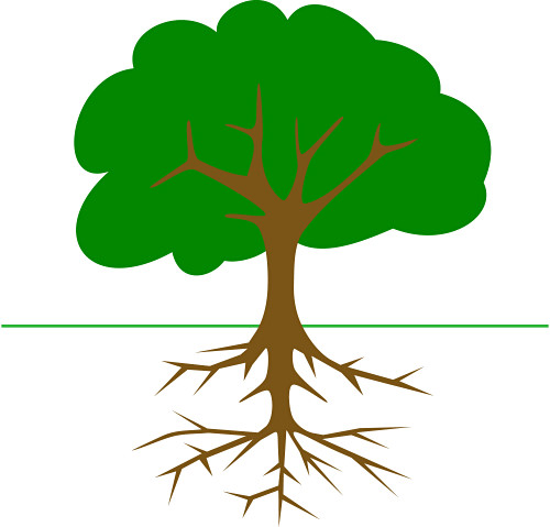 Oak trees clipart free clipart images