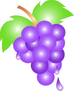 Purple grapes clipart free clipart images 2