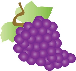 Purple grapes free clipart