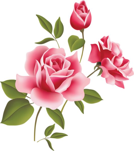 Roses pink rose art picture clipart inspiration clip art