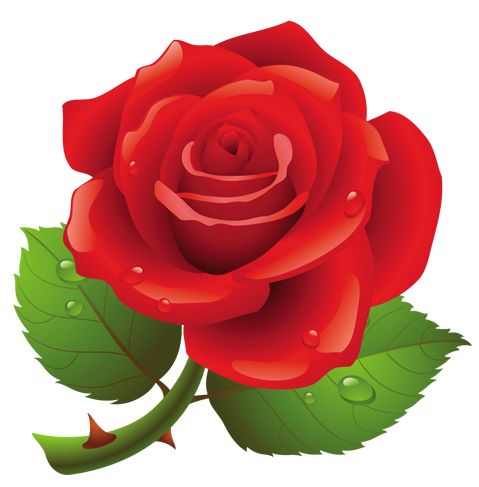 Roses red rose clipart cute clipart