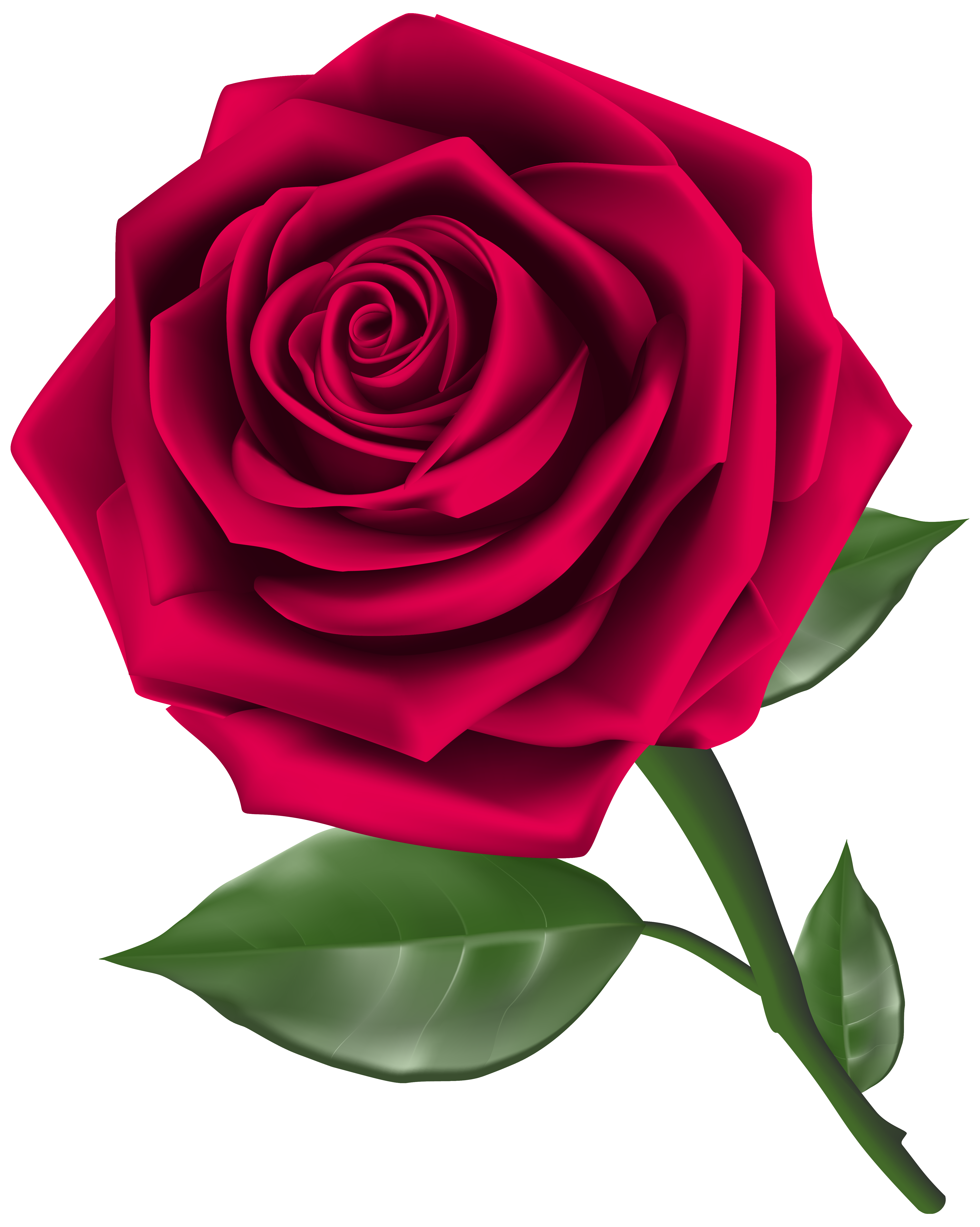 Roses red rose with bud transparent clip art picture - Clipartix