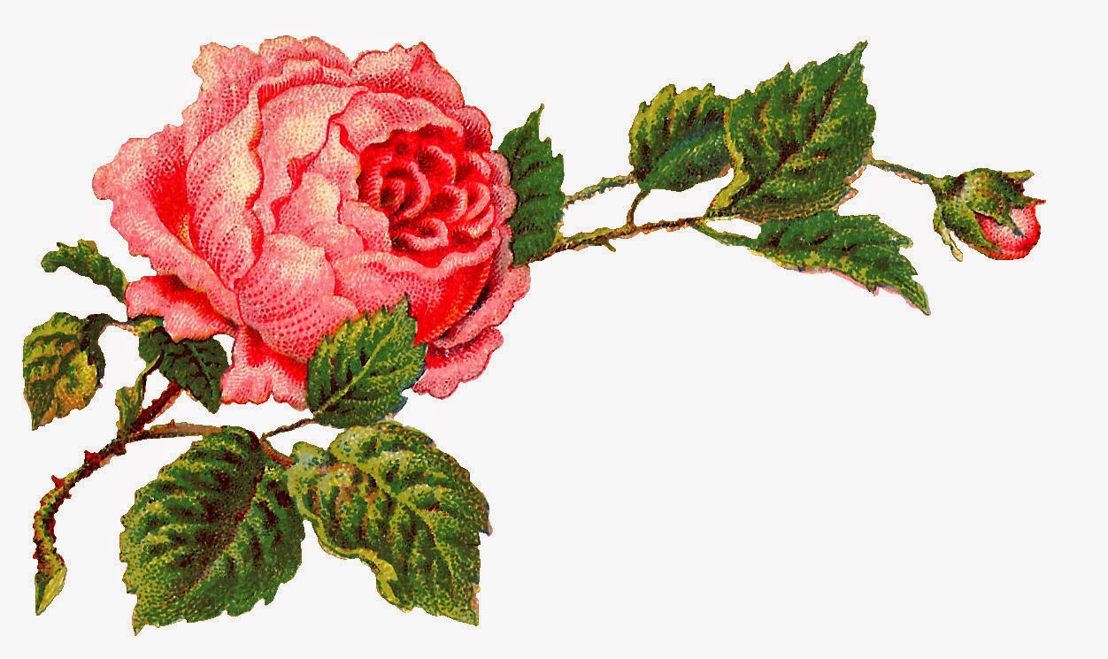 Roses vintage rose corners clipart clipart kid