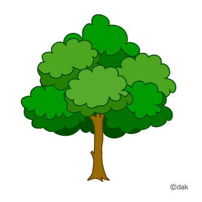Trees clipart tree without leaves free clipart images cliparting