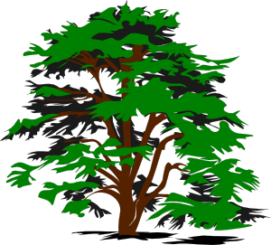 Trees simple tree clip art at clker vector clip art