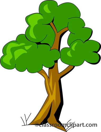 Trees transparent tree clipart clipart kid