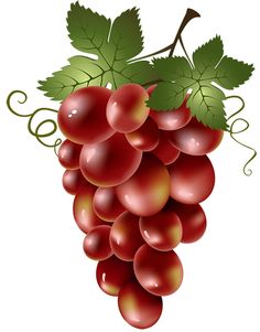 Uvas grapes on laminas para decoupage still cliparts