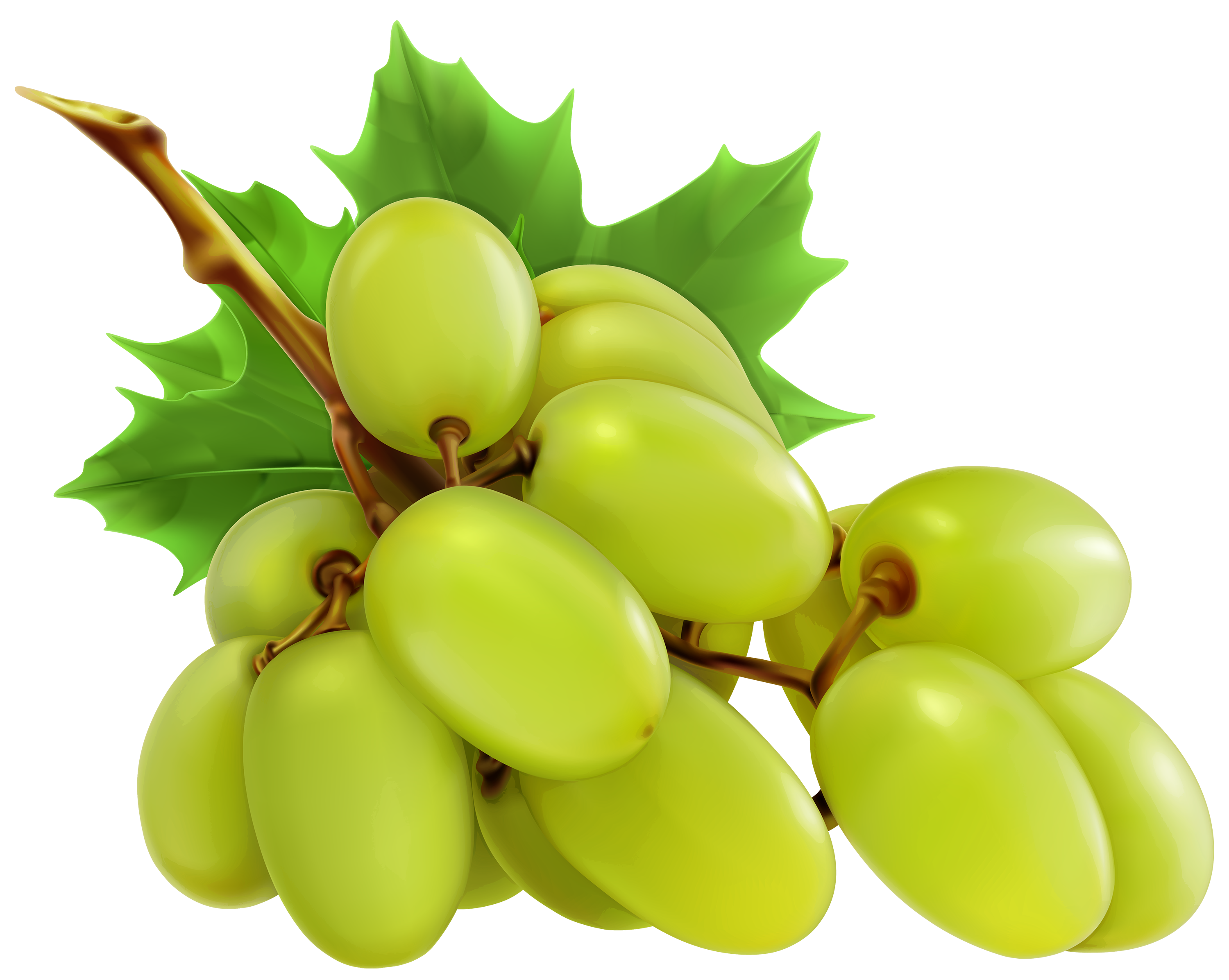 White grapes clipart web clipart