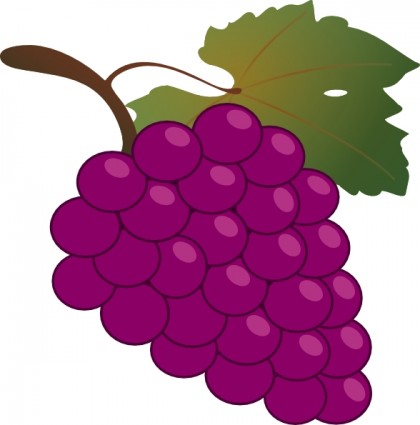 Wine grapes free clipart images