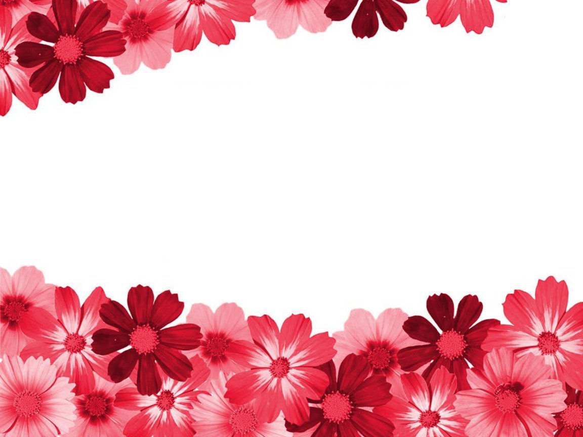 7 images of flower borders clip art free printable free