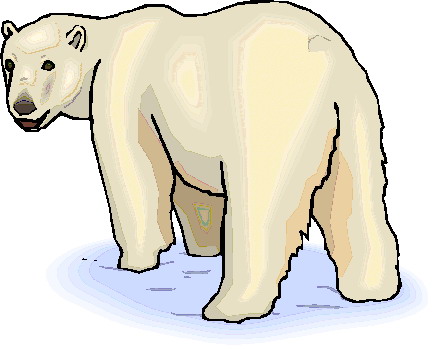 Art polar bear clipart clipart kid 4