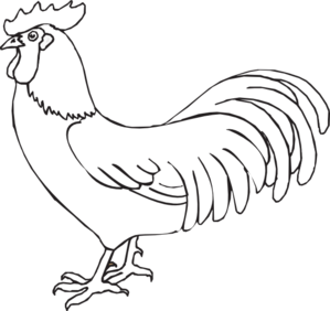 Black rooster clipart kid