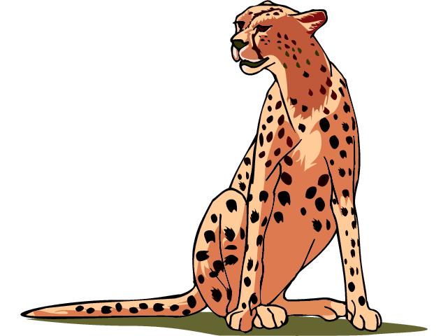 Cheetah clipart 3