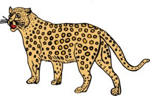 Cheetah clipart free images 5