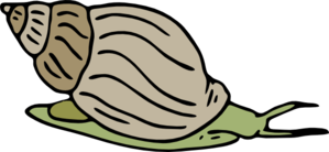 Free snail clipart 1 page of public domain clip art image