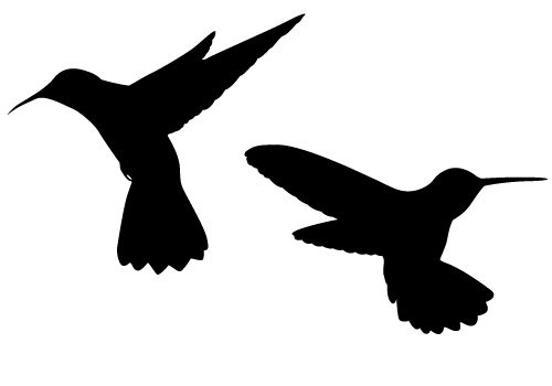 Hummingbird clip art 3 image