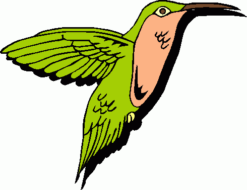 Hummingbird clipart free clipart 4