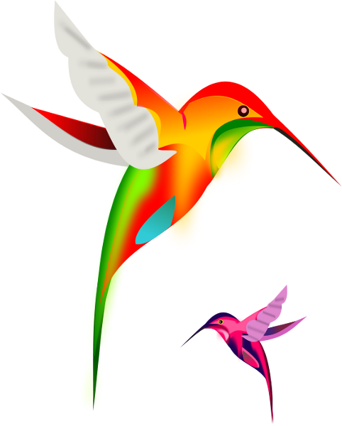 Hummingbird clipart free clipart images 3